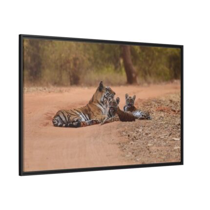 Tiger and Cubs on Dusty Road Framed Canvas