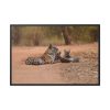88289-591.jpg Tiger and Cubs on Dusty Road Framed Canvas