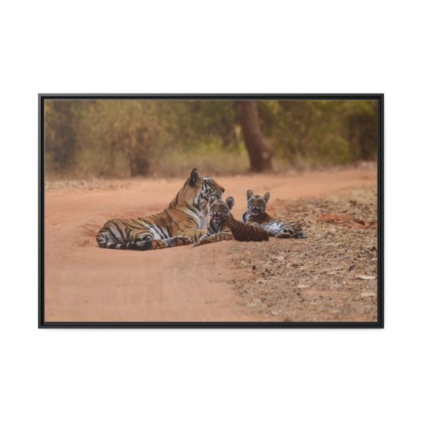88289-591.jpg Tiger and Cubs on Dusty Road Framed Canvas