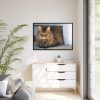 88289-598.jpg Brown Tabby Maine Coon Cat Framed Canvas