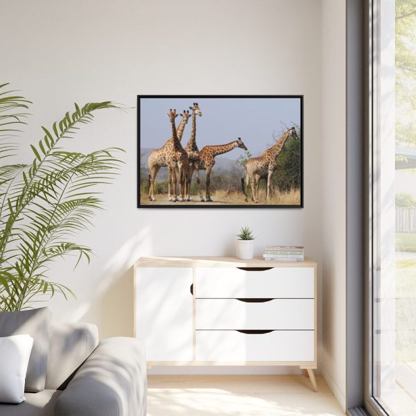 88289-608.jpg Free Giraffes in the Wild Framed Canvas