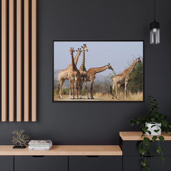 88289-609.jpg Free Giraffes in the Wild Framed Canvas
