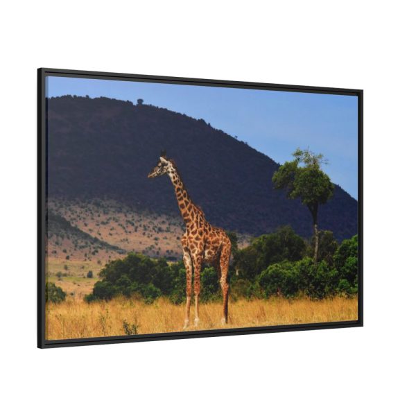 88289-610.jpg Giraffe in Savanna Framed Canvas