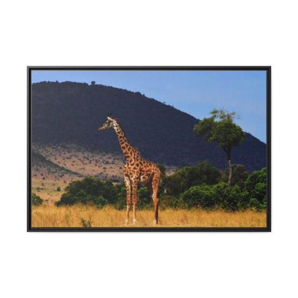 88289-611.jpg Giraffe in Savanna Framed Canvas