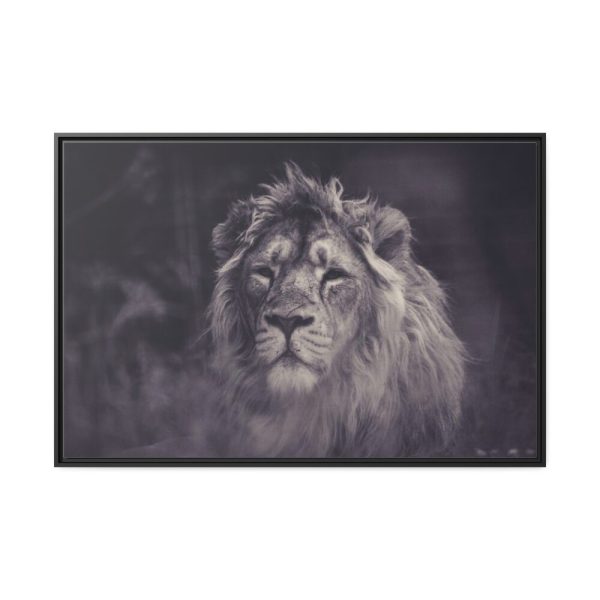 88289-615.jpg Close Up Shot of a Lion's Face in Black and White Framed Canvas