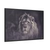 88289-616.jpg Close Up Shot of a Lion's Face in Black and White Framed Canvas