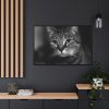 Cute European Shorthair Cat Framed Canvas