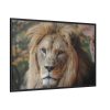 88289-65.jpg Lion Face Closeup Framed Canvas