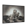 Lion with Cubs Framed Canvas