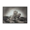 Lion with Cubs Framed Canvas
