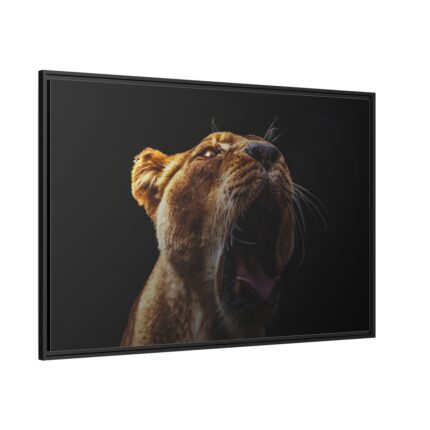 Lion Roar Framed Canvas