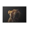 Lion Roar Framed Canvas