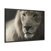 Lion King Face Framed Canvas