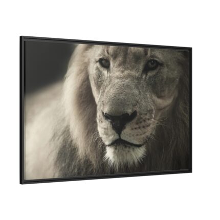 Lion King Face Framed Canvas