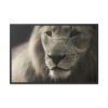 Lion King Face Framed Canvas