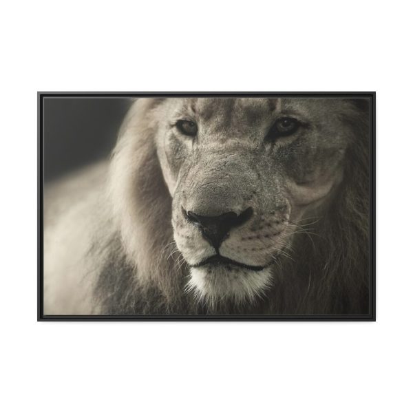Lion King Face Framed Canvas