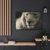 Lion King Face Framed Canvas