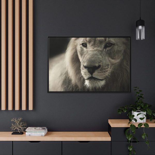 Lion King Face Framed Canvas