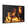 A Pride Of Lions by Jean Baptiste Huet Framed Canvas