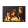 A Pride Of Lions by Jean Baptiste Huet Framed Canvas