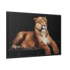 Hercules the Liger Framed Canvas