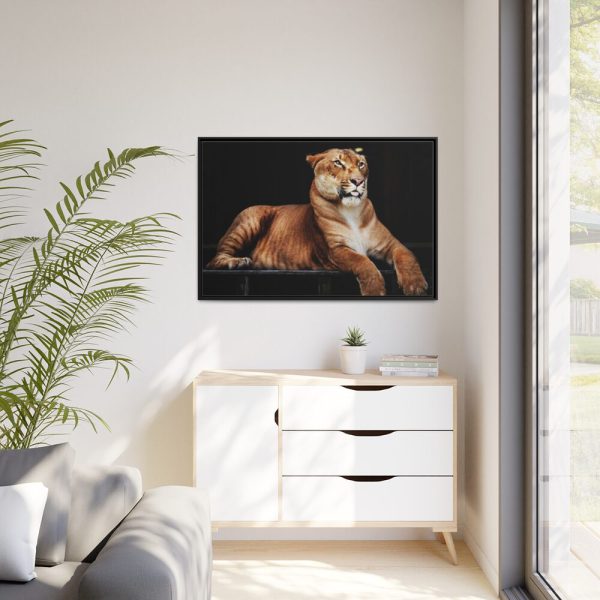 Hercules the Liger Framed Canvas