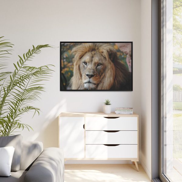 88289-68.jpg Lion Face Closeup Framed Canvas