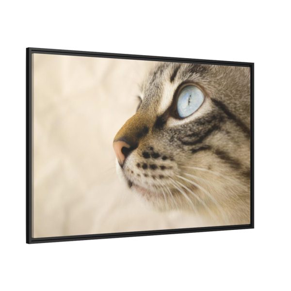 88289-680.jpg Cat with Large Blue Eye Framed Canvas