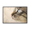 88289-681.jpg Cat with Large Blue Eye Framed Canvas