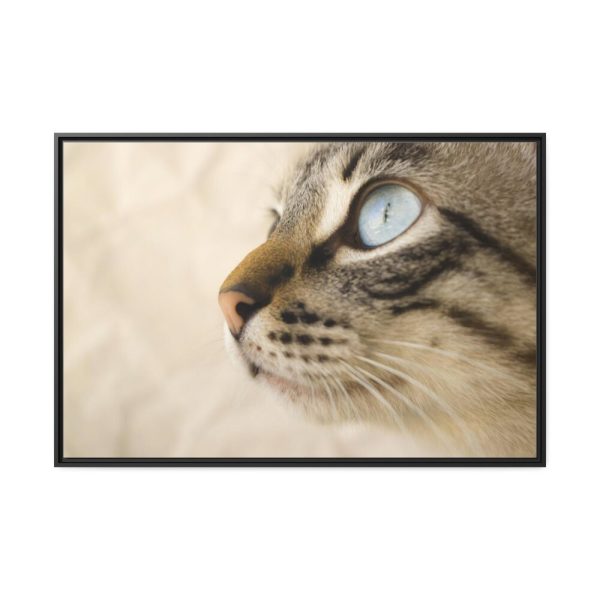 88289-681.jpg Cat with Large Blue Eye Framed Canvas