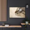 88289-684.jpg Cat with Large Blue Eye Framed Canvas