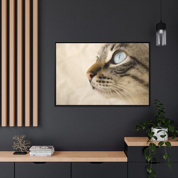 88289-684.jpg Cat with Large Blue Eye Framed Canvas