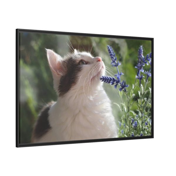 88289-685.jpg Cat and Lavender Framed Canvas