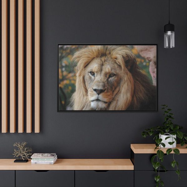 88289-69.jpg Lion Face Closeup Framed Canvas