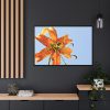 Lily Flower Framed Canvas