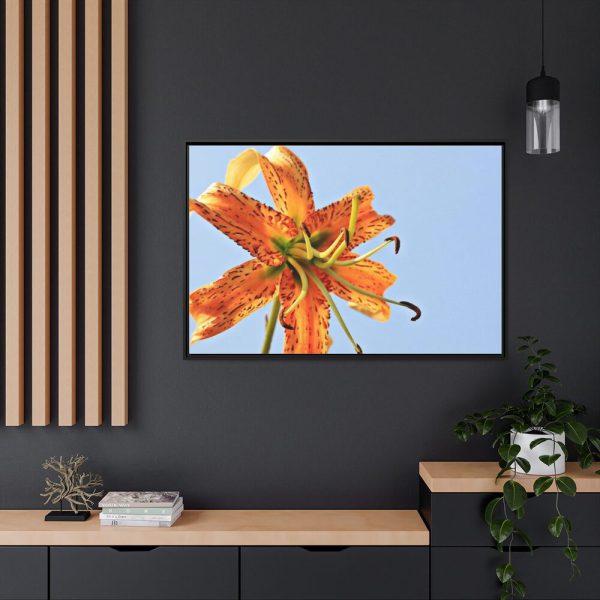 Lily Flower Framed Canvas