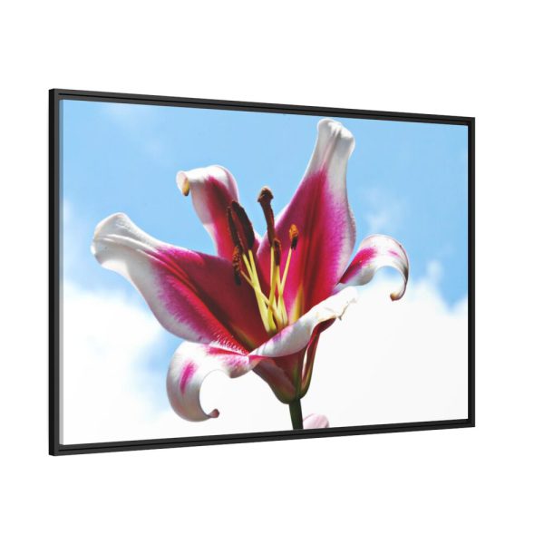 Garden Lily  Framed Canvas