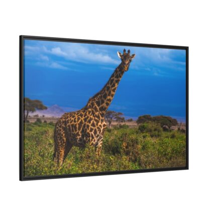 Giraffe in the Wild Framed Canvas