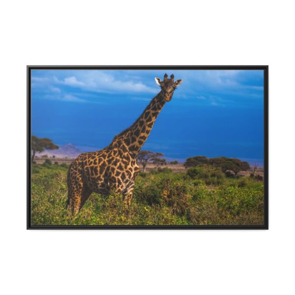 Giraffe in the Wild Framed Canvas