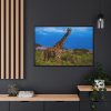 Giraffe in the Wild Framed Canvas