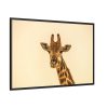 88289-715.jpg A Close up Geoffrey The Giraffe Framed Canvas