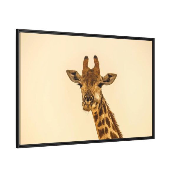 88289-715.jpg A Close up Geoffrey The Giraffe Framed Canvas