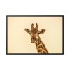 88289-716.jpg A Close up Geoffrey The Giraffe Framed Canvas
