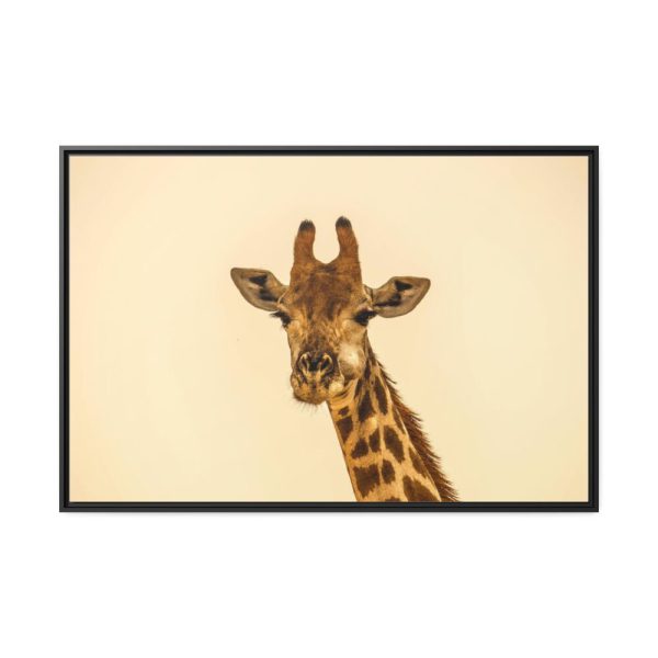 88289-716.jpg A Close up Geoffrey The Giraffe Framed Canvas