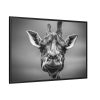 88289-720.jpg Giraffe in Monotone Framed Canvas