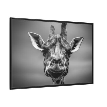 Giraffe in Monotone Framed Canvas