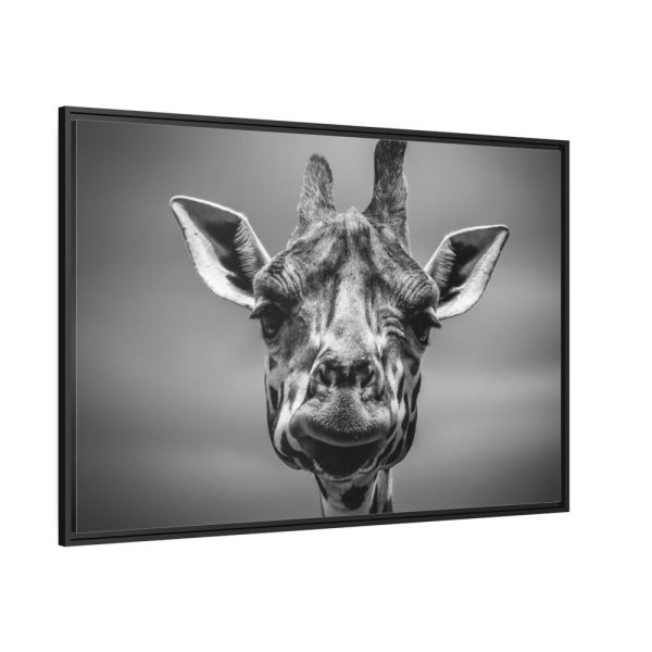 88289-720.jpg Giraffe in Monotone Framed Canvas