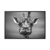 88289-721.jpg Giraffe in Monotone Framed Canvas