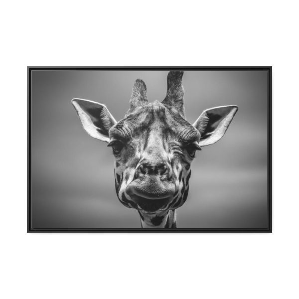 88289-721.jpg Giraffe in Monotone Framed Canvas