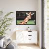Giraffe at The Montgomery Zoo in Oak Park Framed Canvas